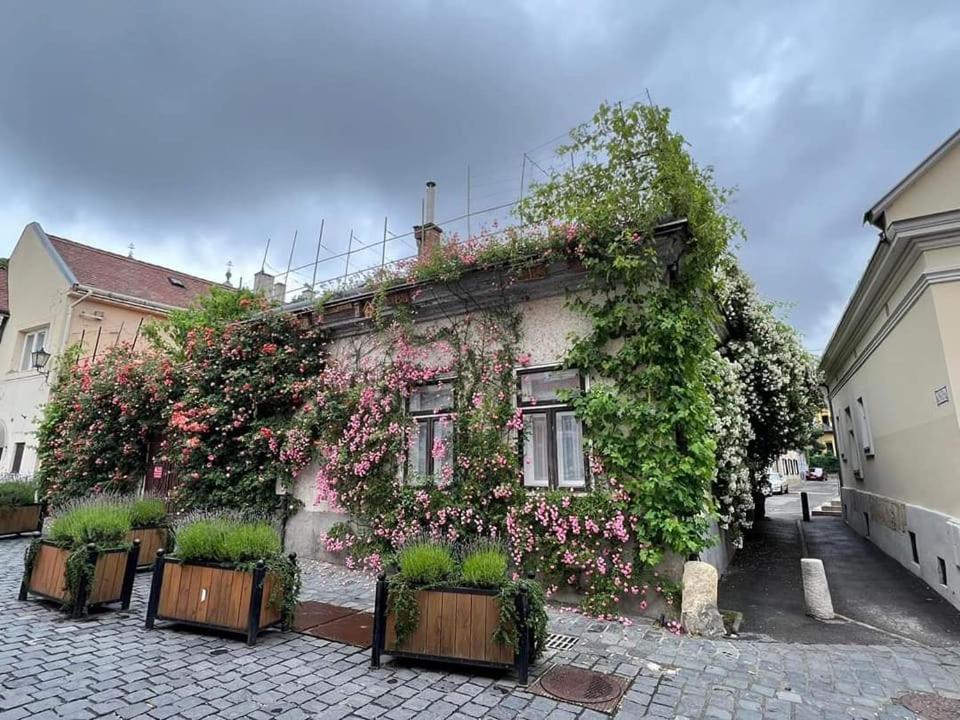 Downtown Romantic Szekesfehervar Ngoại thất bức ảnh